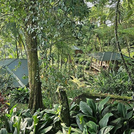 Rimba Eco Resort Tomohon Экстерьер фото