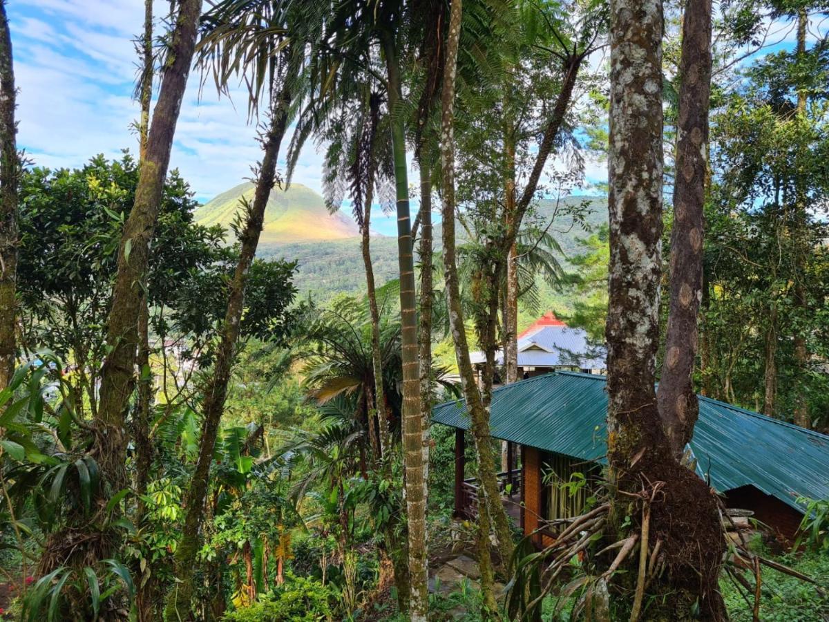 Rimba Eco Resort Tomohon Экстерьер фото