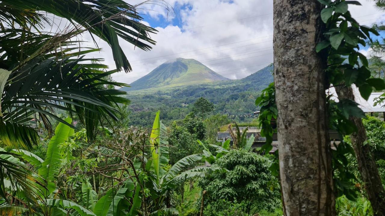 Rimba Eco Resort Tomohon Экстерьер фото