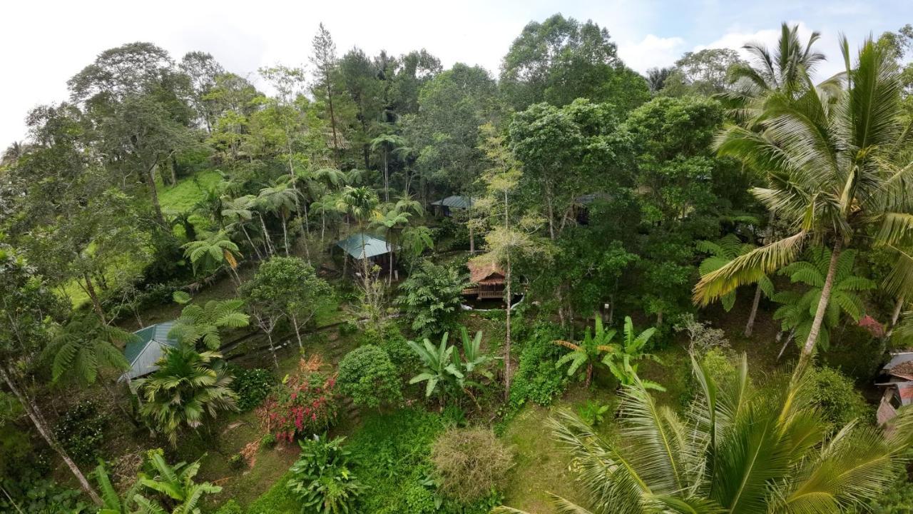 Rimba Eco Resort Tomohon Экстерьер фото