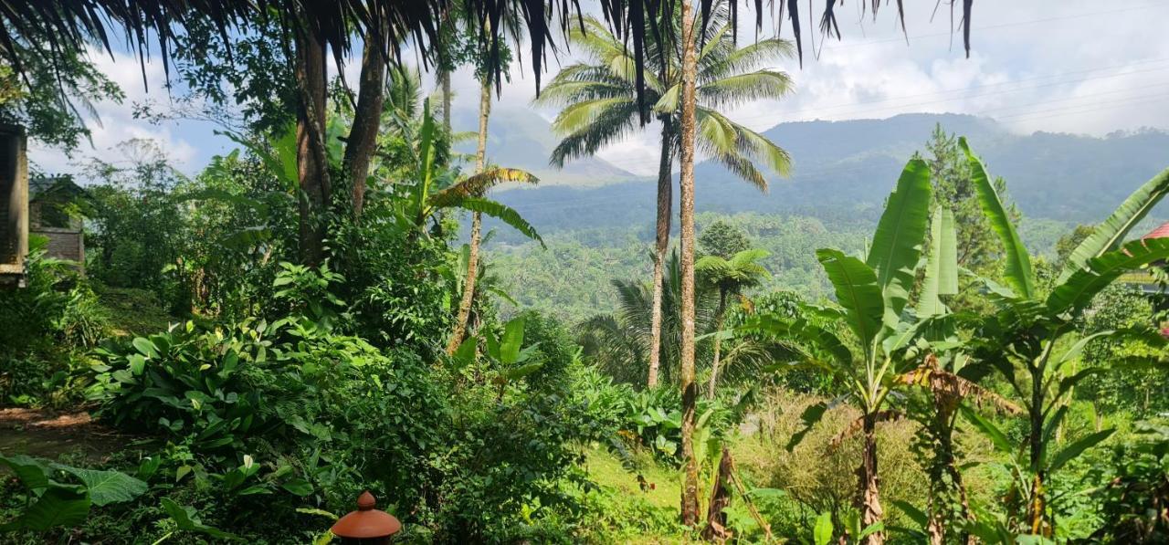 Rimba Eco Resort Tomohon Экстерьер фото