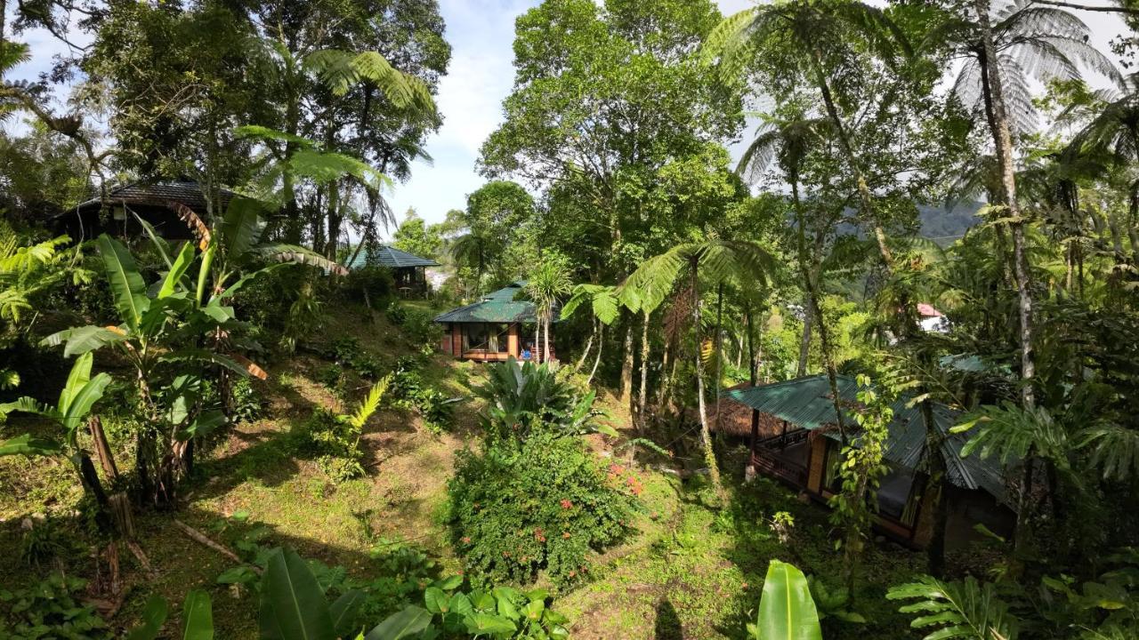 Rimba Eco Resort Tomohon Экстерьер фото