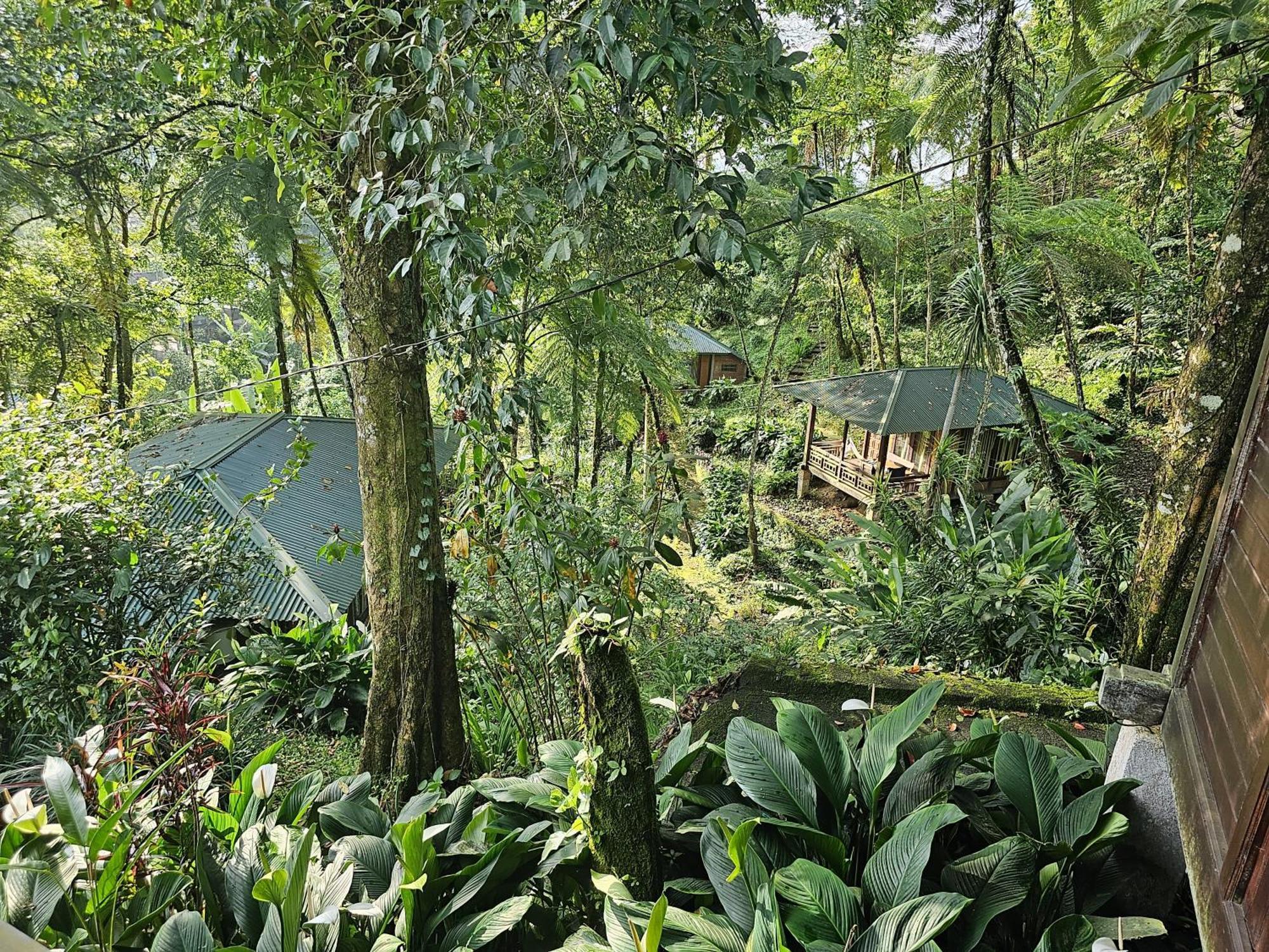 Rimba Eco Resort Tomohon Экстерьер фото